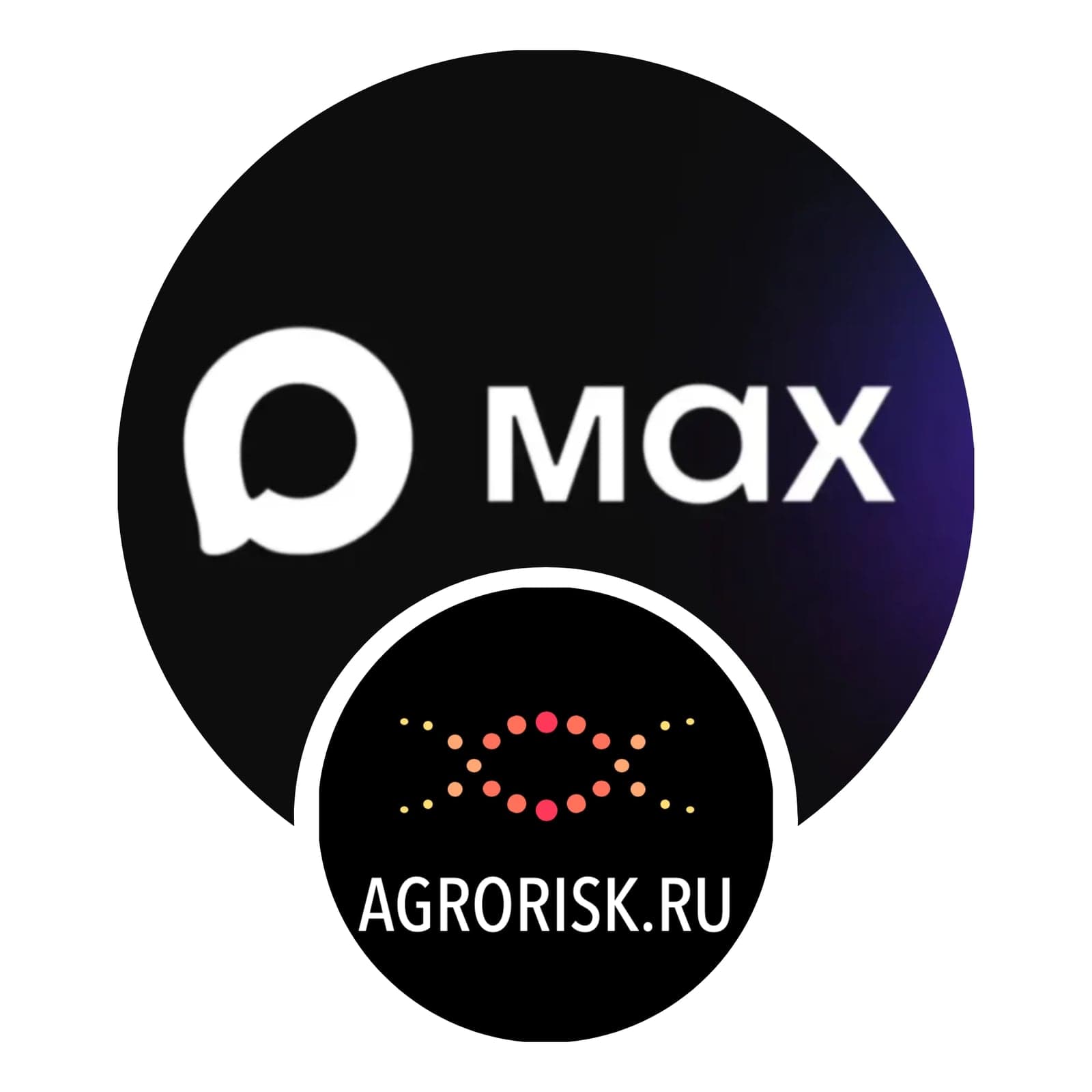 "Агрориск" ставит MAXимальные цели
