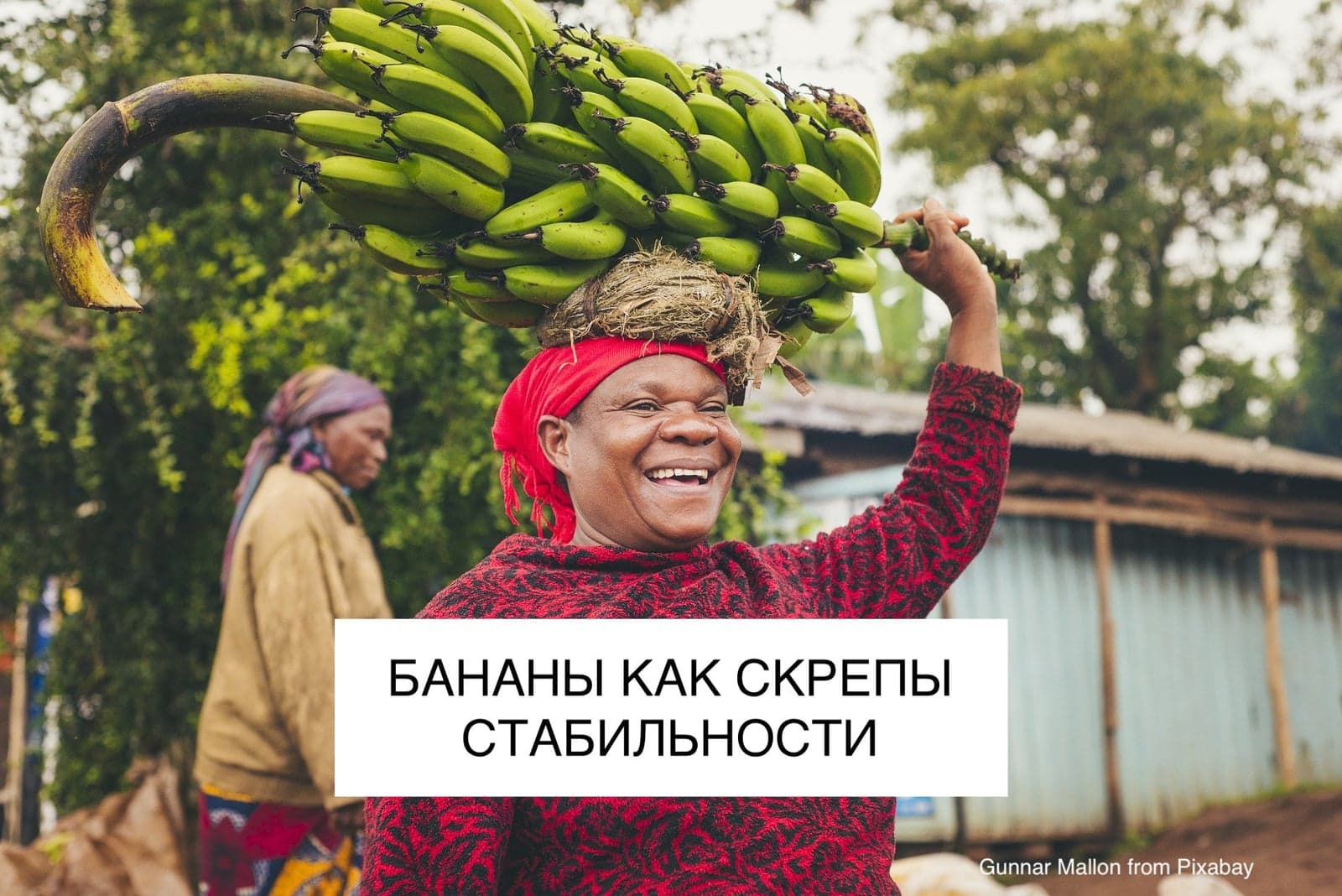 БАНАНЫ КАК СКРЕПЫ СТАБИЛЬНОСТИ
