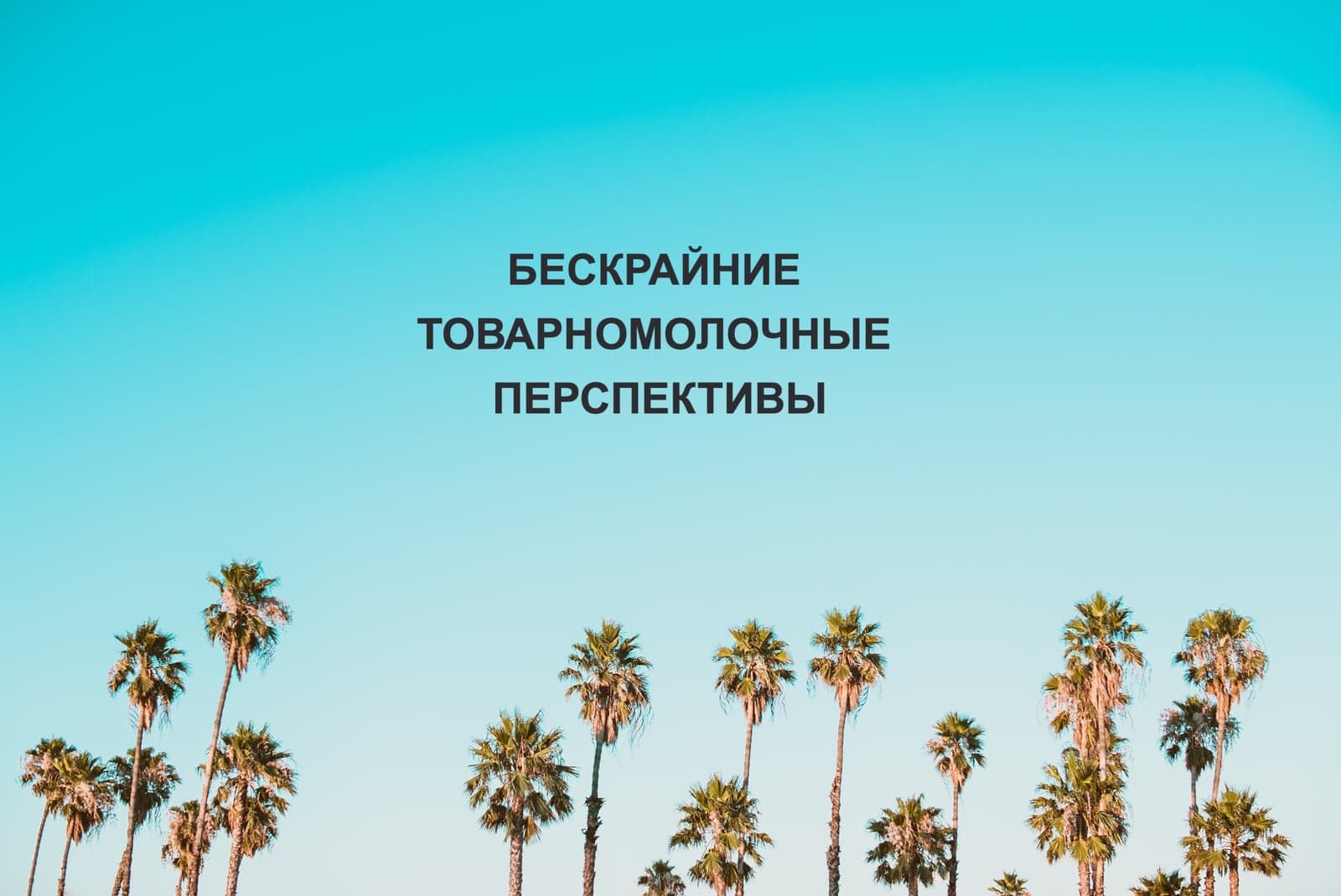 БЕСКРАЙНИЕ ТОВАРНОМОЛОЧНЫЕ ПЕРСПЕКТИВЫ