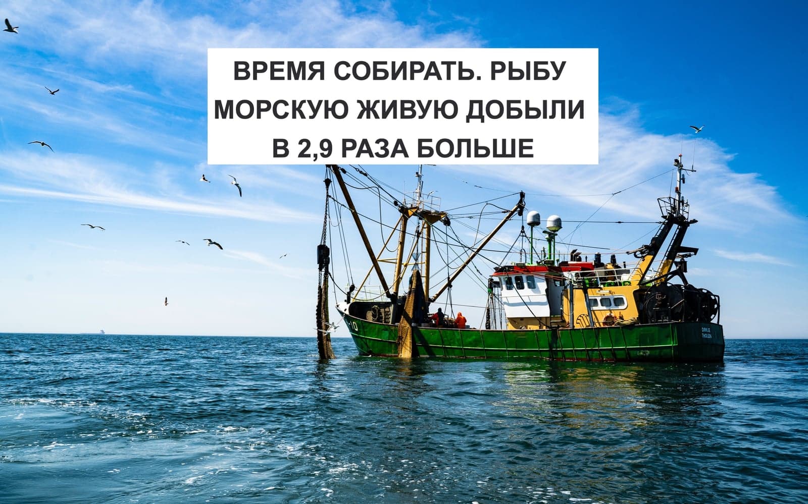 ВРЕМЯ СОБИРАТЬ. РЫБУ МОРСКУЮ ЖИВУЮ ДОБЫЛИ В 2,9 РАЗА БОЛЬШЕ