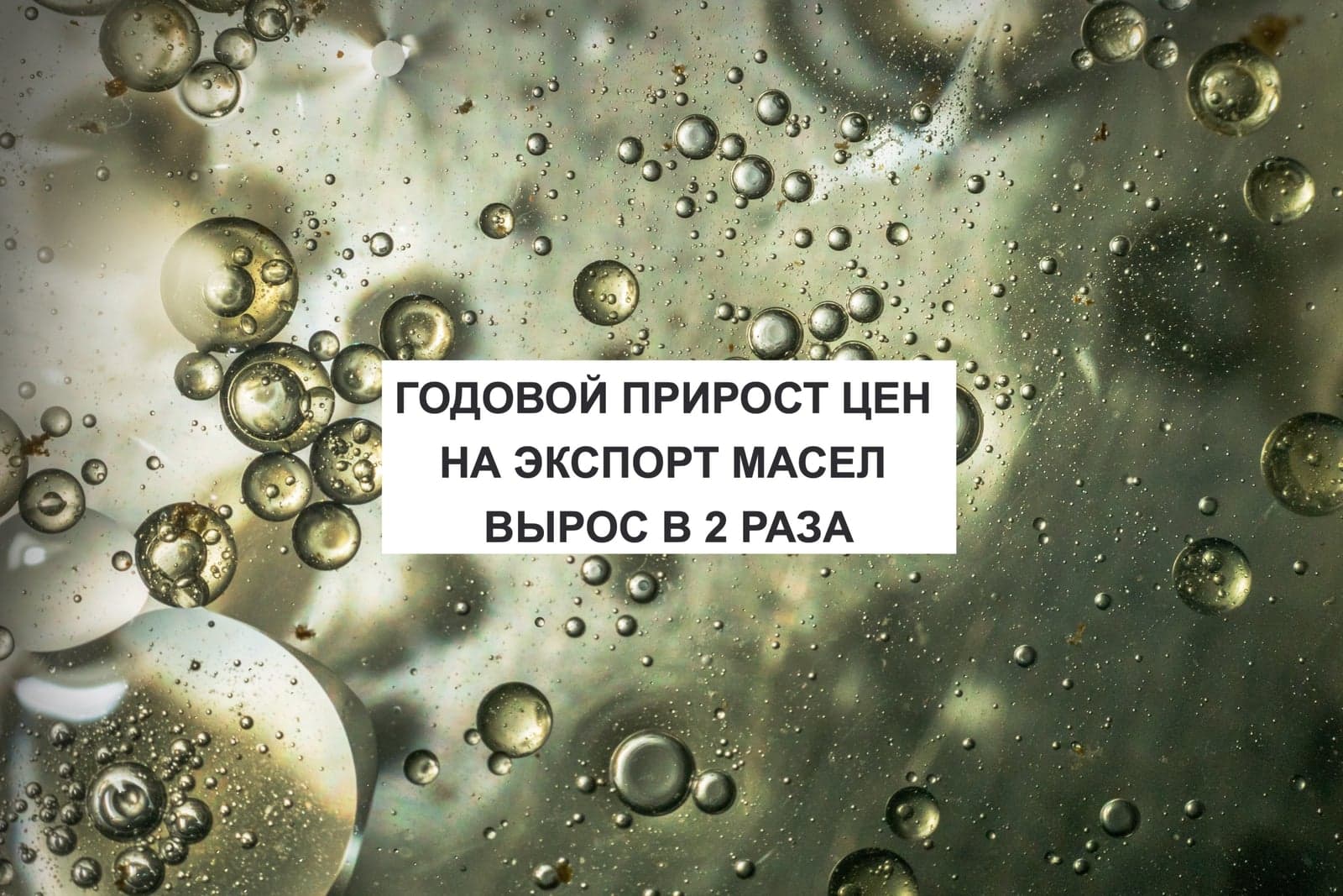 ГОДОВОЙ ПРИРОСТ ЦЕН НА ЭКСПОРТ МАСЕЛ ВЫРОС В 2 РАЗА