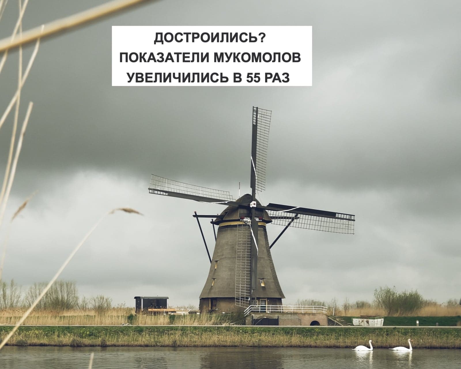 ДОСТРОИЛИСЬ? ПОКАЗАТЕЛИ МУКОМОЛОВ УВЕЛИЧИЛИСЬ В 55 РАЗ