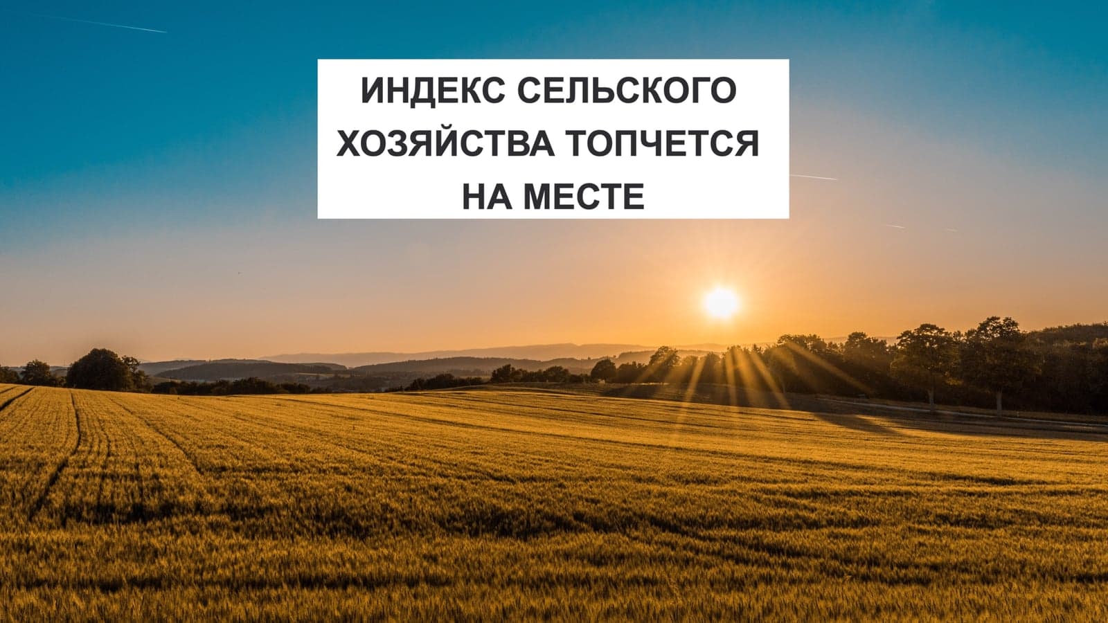 ИНДЕКС СЕЛЬСКОГО ХОЗЯЙСТВА ТОПЧЕТСЯ НА МЕСТЕ