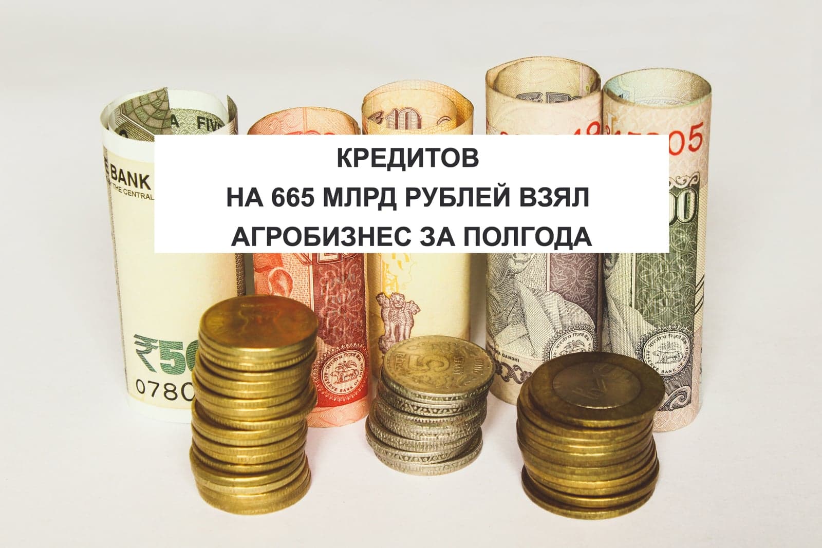КРЕДИТОВ НА 665 МЛРД РУБЛЕЙ ВЗЯЛ АГРОБИЗНЕС ЗА ПОЛГОДА