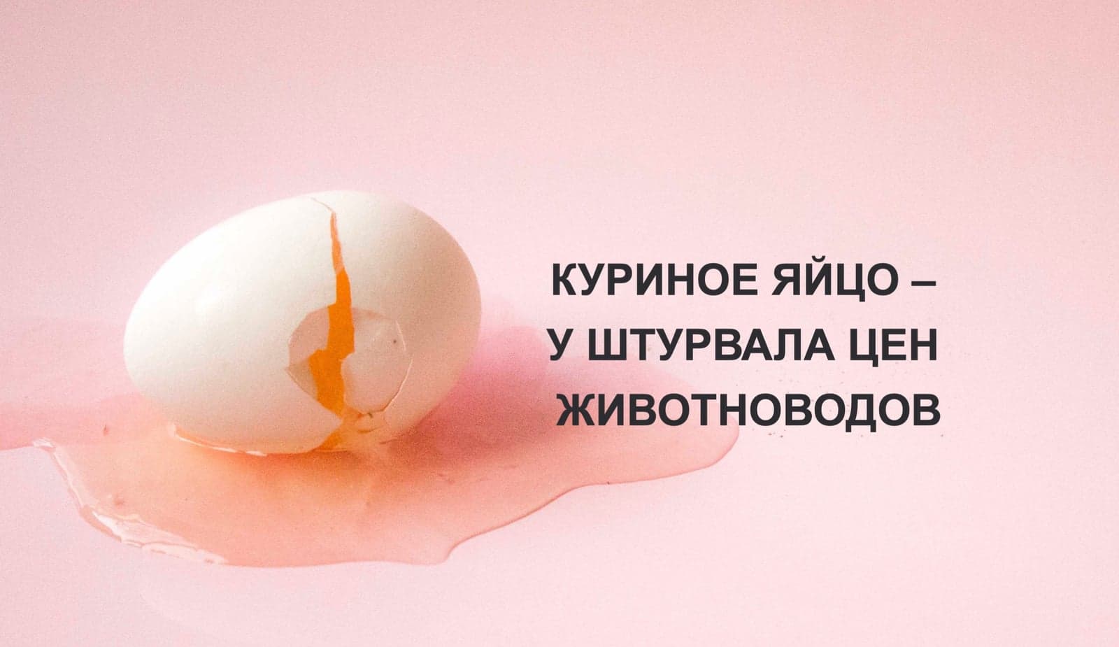 КУРИНОЕ ЯЙЦО – У ШТУРВАЛА ЦЕН ЖИВОТНОВОДОВ