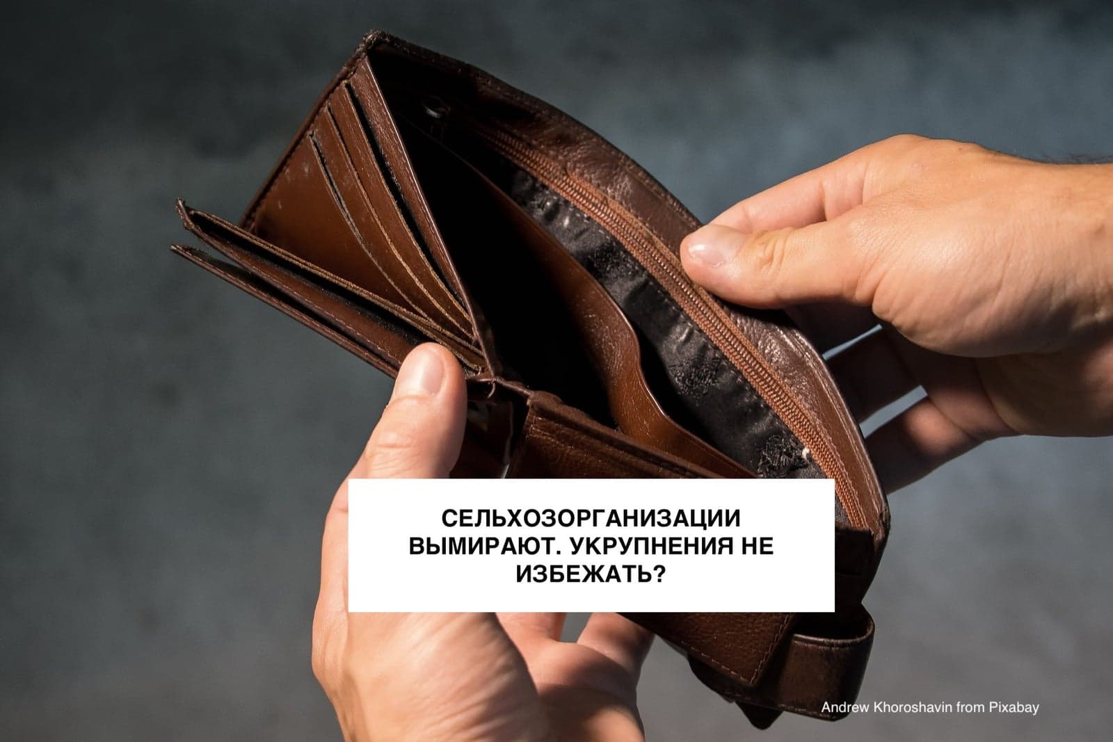 СЕЛЬХОЗОРГАНИЗАЦИИ ВЫМИРАЮТ. УКРУПНЕНИЯ НЕ ИЗБЕЖАТЬ?