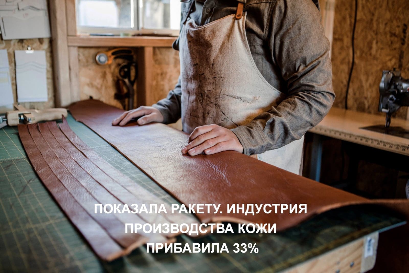 ПОКАЗАЛА РАКЕТУ. ИНДУСТРИЯ ПРОИЗВОДСТВА КОЖИ ПРИБАВИЛА 33%