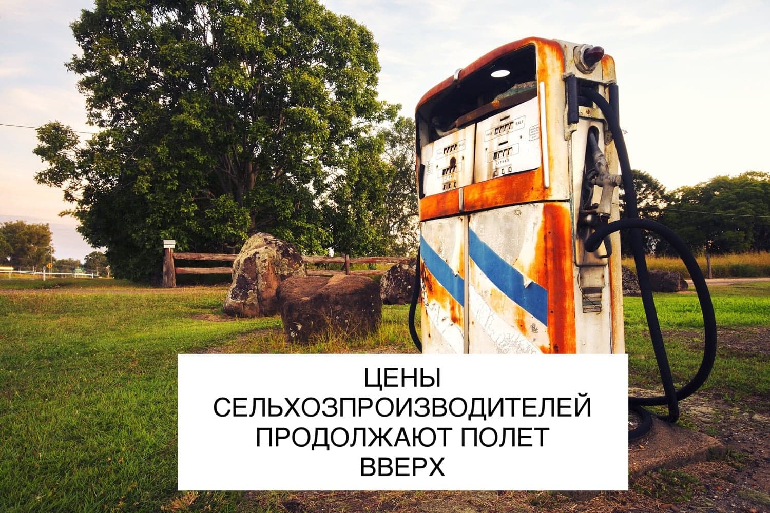 ЦЕНЫ СЕЛЬХОЗПРОИЗВОДИТЕЛЕЙ ПРОДОЛЖАЮТ ПОЛЕТ ВВЕРХ