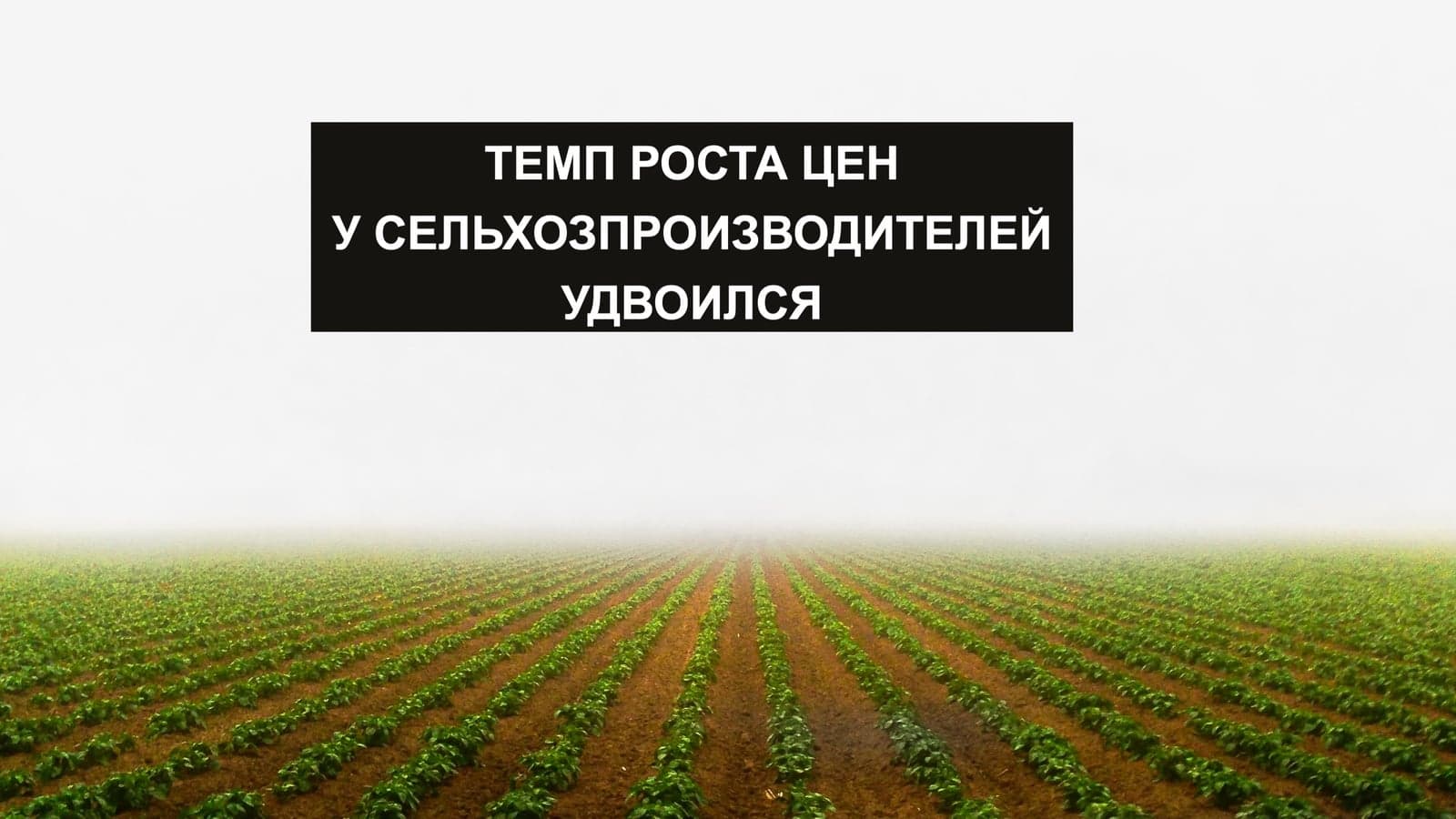 ТЕМП РОСТА ЦЕН У СЕЛЬХОЗПРОИЗВОДИТЕЛИ УДВОИЛСЯ