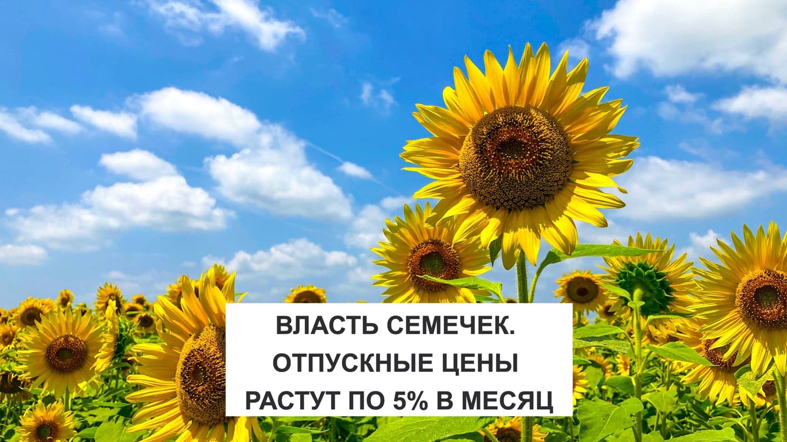 ВЛАСТЬ СЕМЕЧЕК. ОТПУСКНЫЕ ЦЕНЫ РАСТУТ ПО 5% В МЕСЯЦ