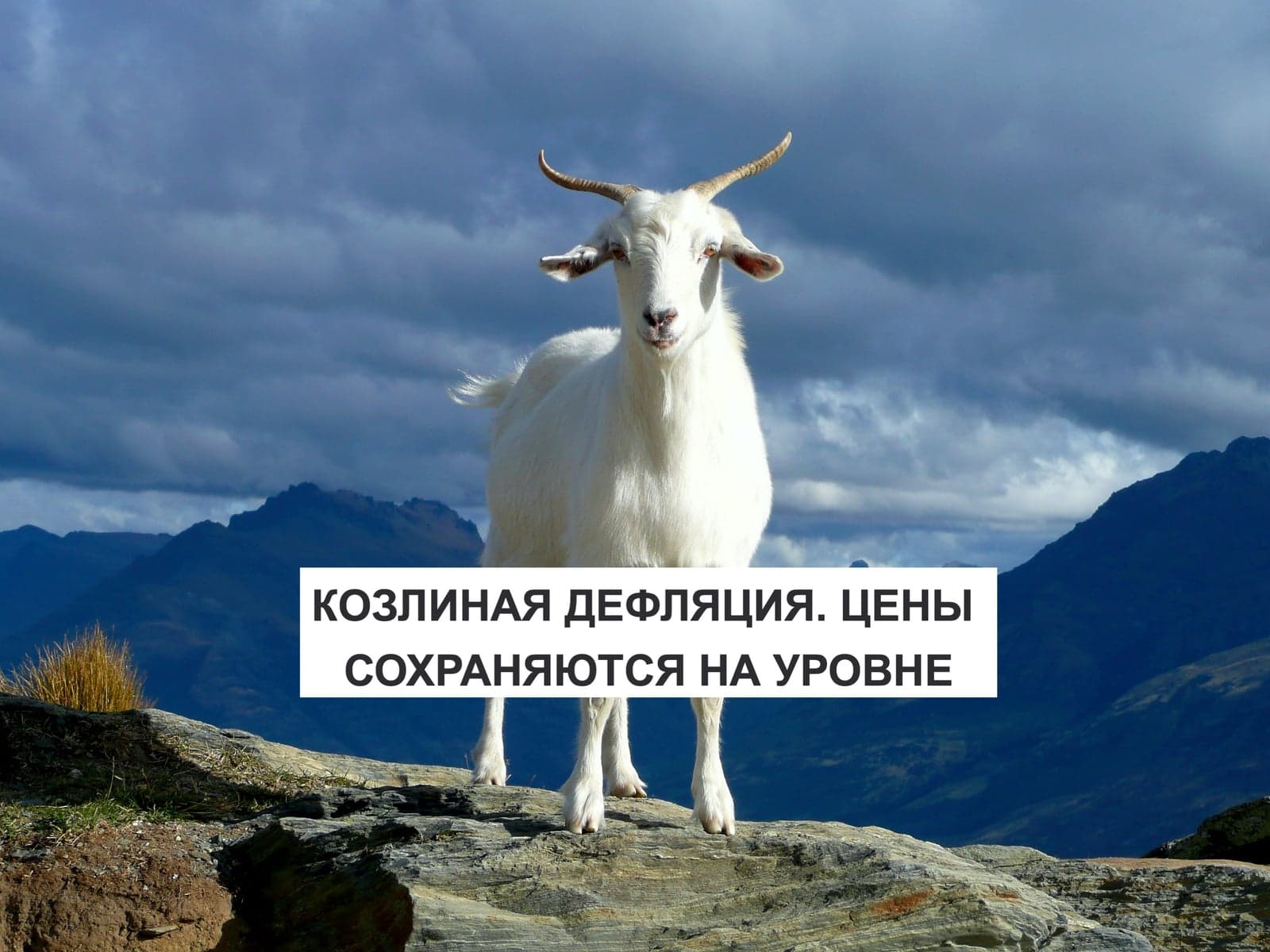 КОЗЛИНАЯ ДЕФЛЯЦИЯ. ЦЕНЫ СОХРАНЯЮТСЯ НА УРОВНЕ
