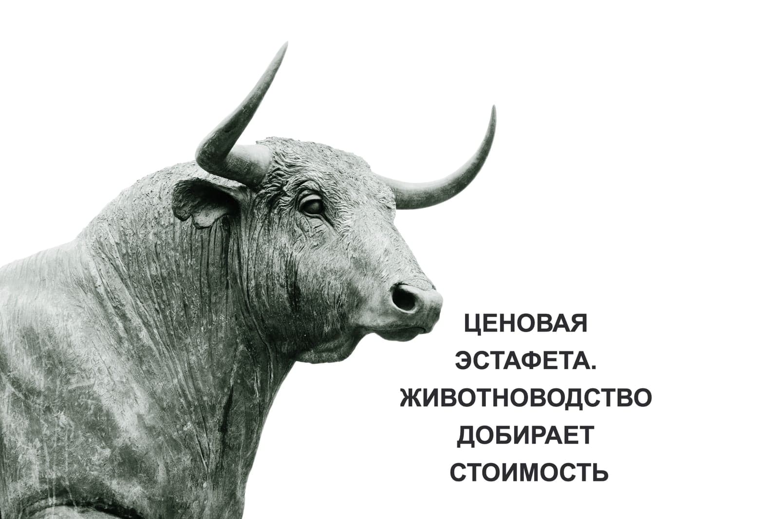 ЦЕНОВАЯ ЭСТАФЕТА. ЖИВОТНОВОДСТВО ДОБИРАЕТ СТОИМОСТЬ