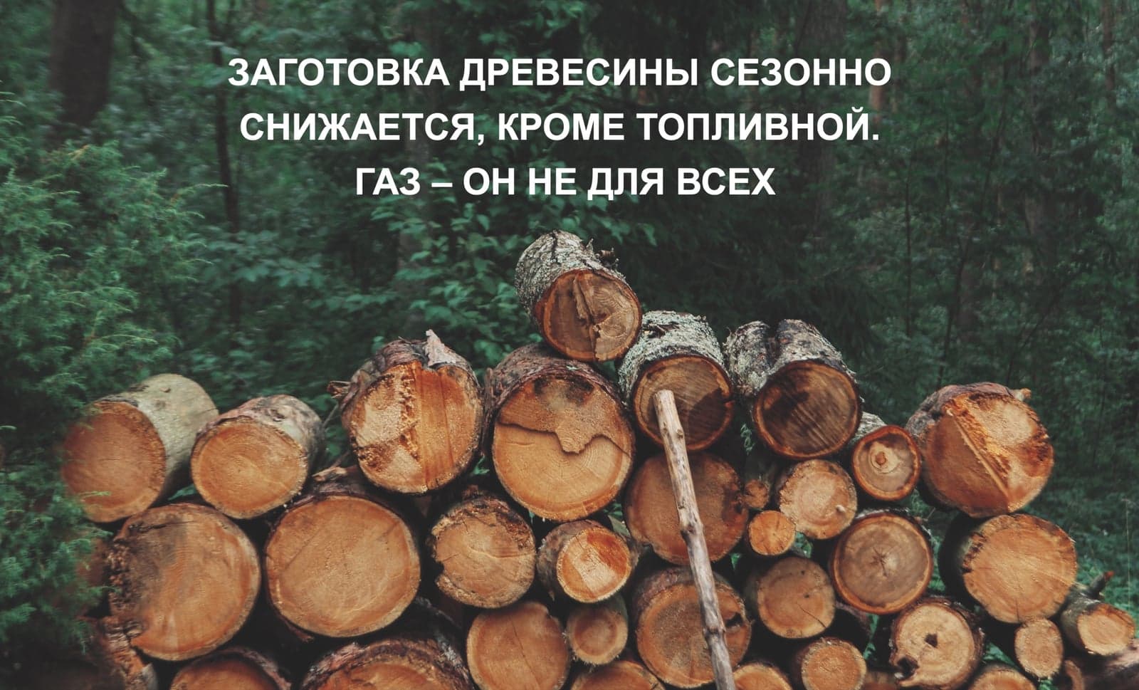 ЗАГОТОВКА ДРЕВЕСИНЫ СЕЗОННО СНИЖАЕТСЯ, КРОМЕ ТОПЛИВНОЙ. ГАЗ – ОН НЕ ДЛЯ ВСЕХ