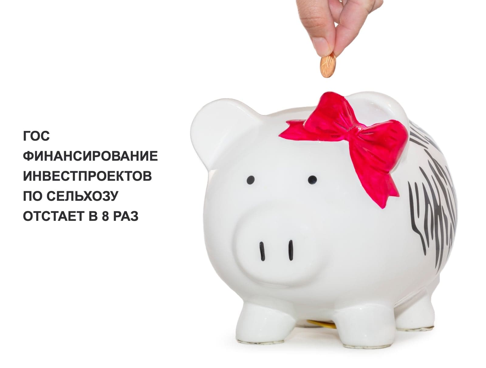 ГОСФИНАНСИРОВАНИЕ ИНВЕСТПРОЕКТОВ ПО СЕЛЬХОЗУ ОТСТАЕТ В 8 РАЗ