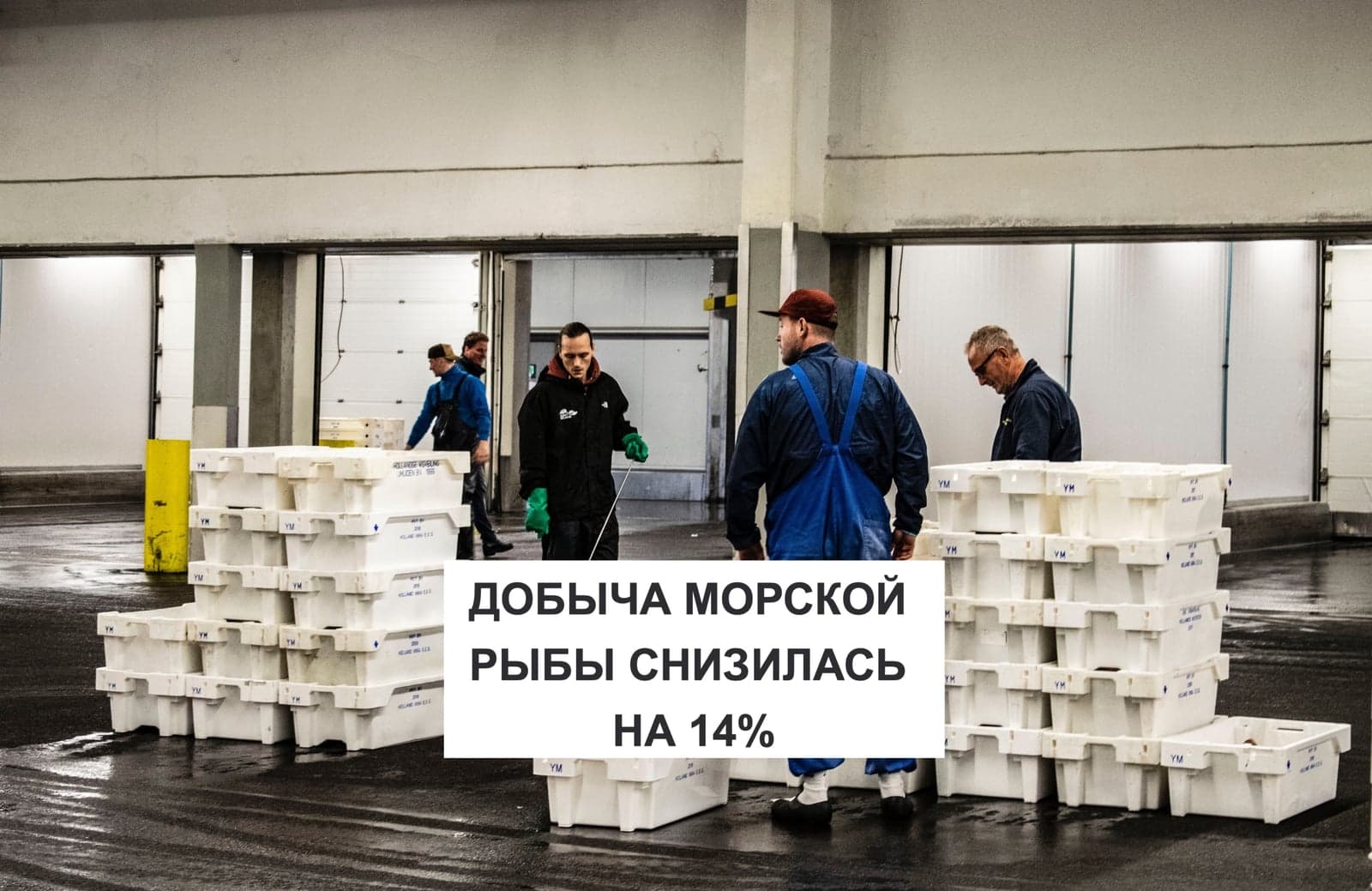 ДОБЫЧА МОРСКОЙ РЫБЫ СНИЗИЛАСЬ НА 14%