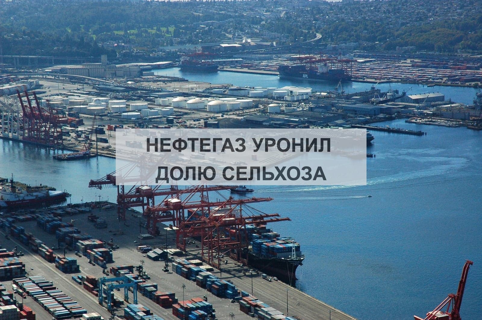 НЕФТЕГАЗ УРОНИЛ ДОЛЮ СЕЛЬХОЗА