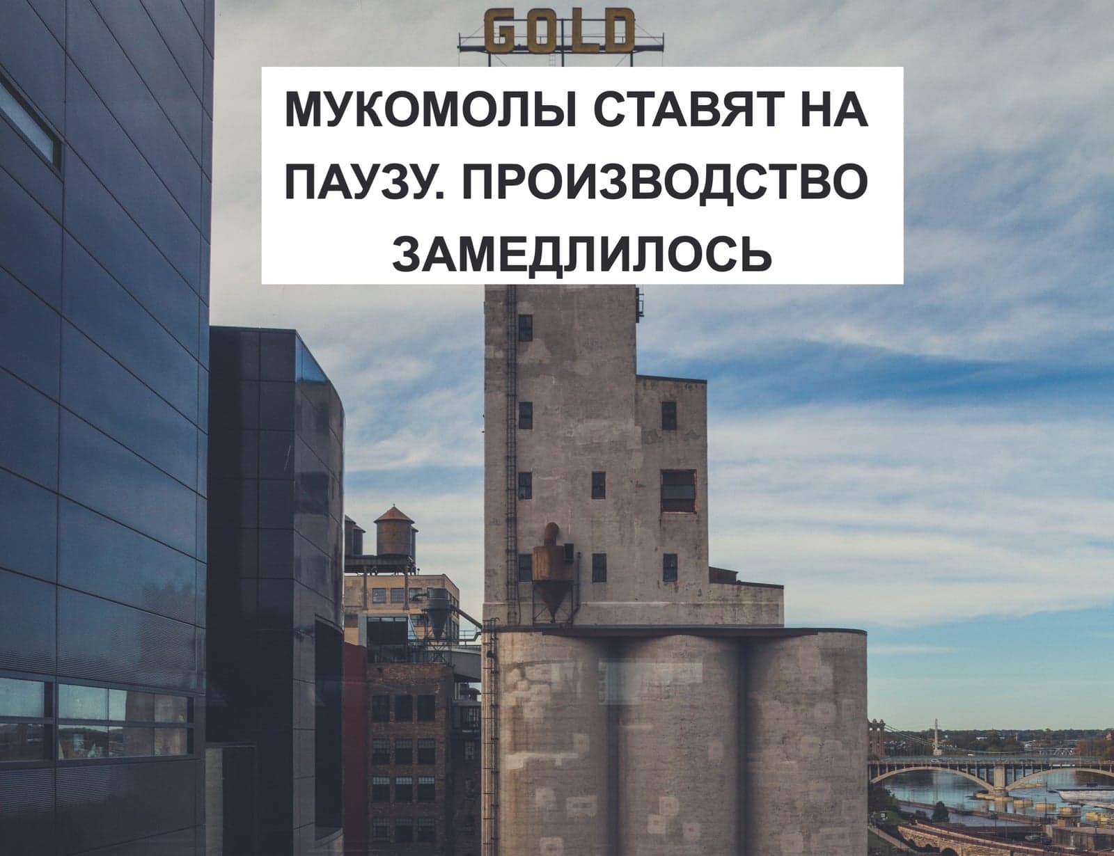 МУКОМОЛЫ СТАВЯТ НА ПАУЗУ. ПРОИЗВОДСТВО ЗАМЕДЛИЛОСЬ