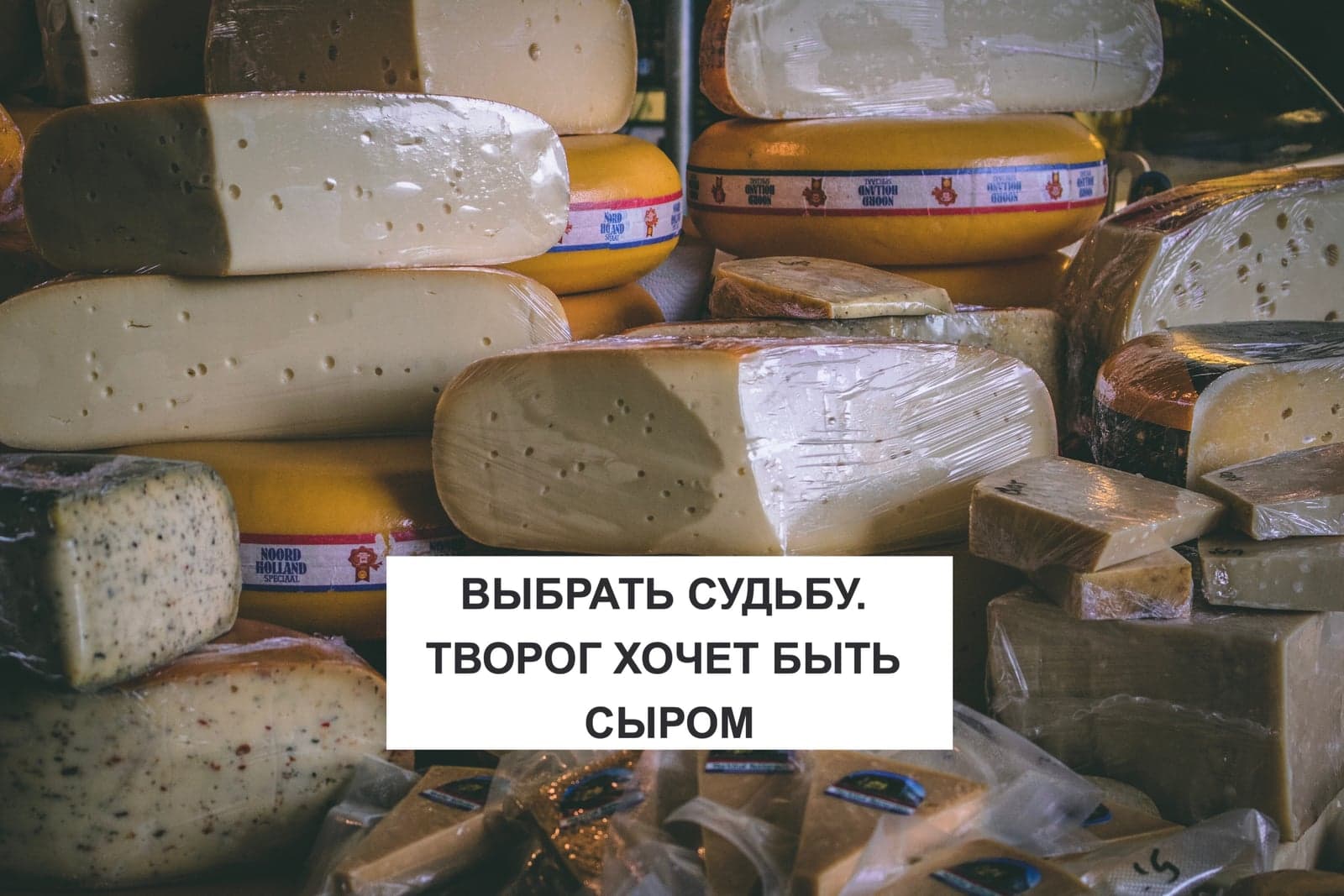 ВЫБРАТЬ СУДЬБУ. ТВОРОГ ХОЧЕТ БЫТЬ СЫРОМ