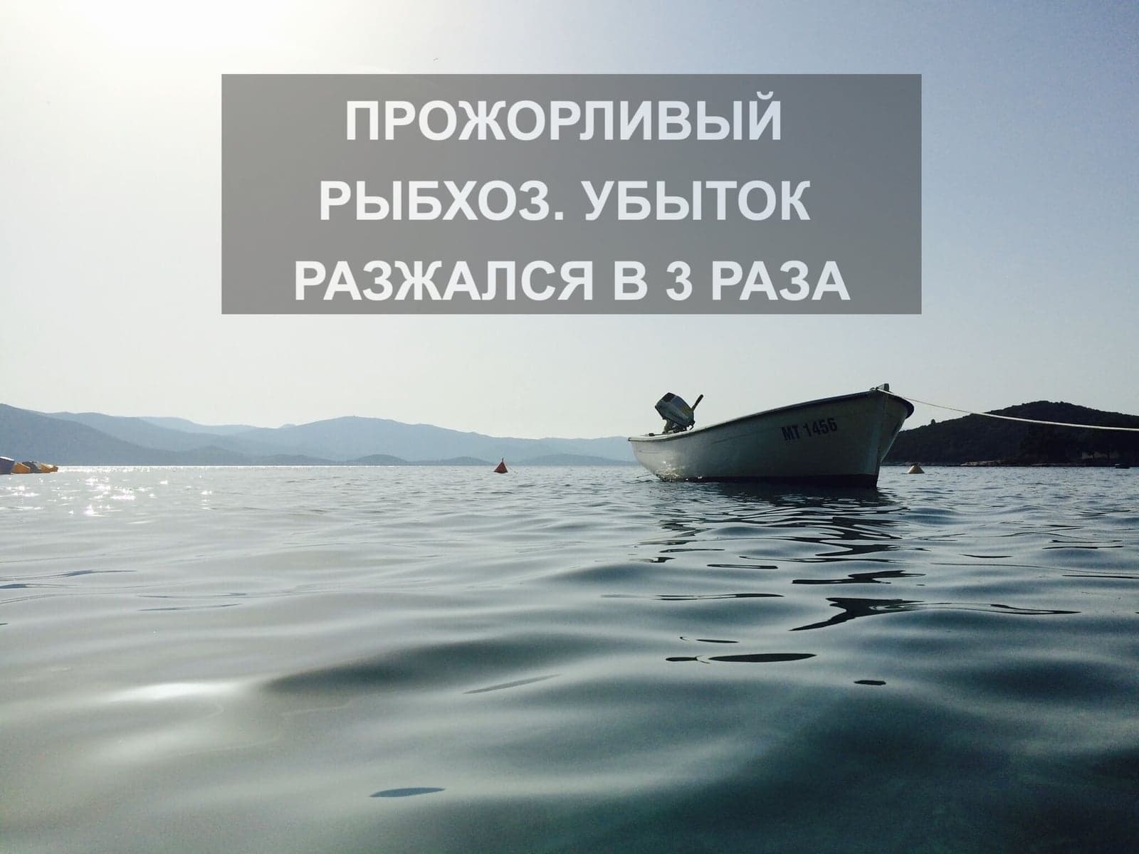 ПРОЖОРЛИВЫЙ РЫБХОЗ. УБЫТОК РАЗЖАЛСЯ В 3 РАЗА