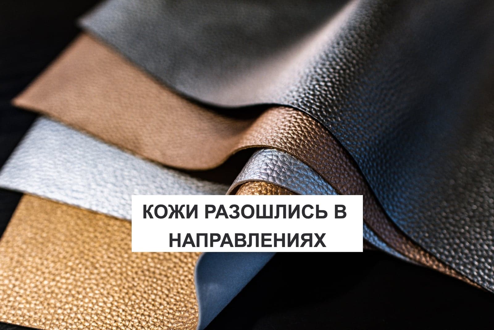 КОЖИ РАЗОШЛИСЬ В НАПРАВЛЕНИЯХ