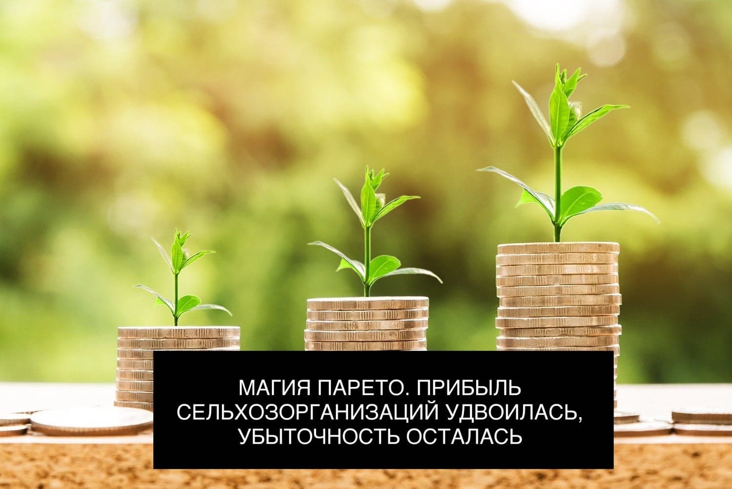 МАГИЯ ПАРЕТО. ПРИБЫЛЬ СЕЛЬХОЗОРГАНИЗАЦИЙ УДВОИЛАСЬ, УБЫТОЧНОСТЬ ОСТАЛАСЬ