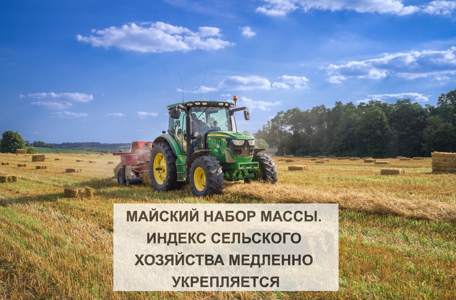 МАЙСКИЙ НАБОР МАССЫ. ИНДЕКС СЕЛЬСКОГО ХОЗЯЙСТВА МЕДЛЕННО УКРЕПЛЯЕТСЯ