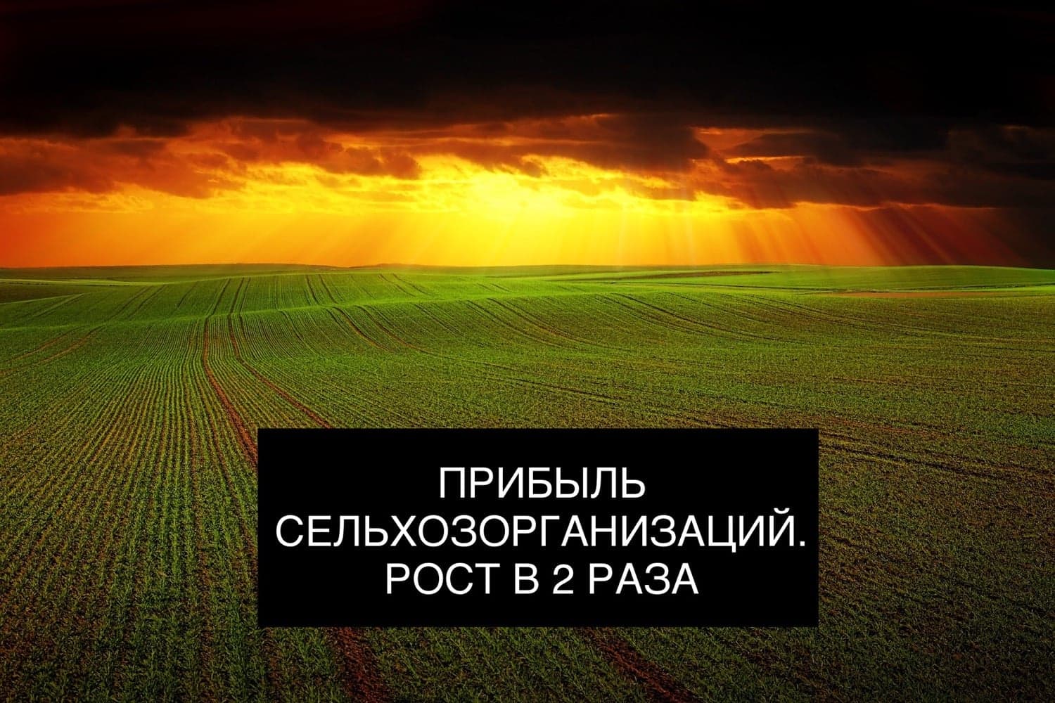 ПРИБЫЛЬ СЕЛЬХОЗОРГАНИЗАЦИЙ. РОСТ В 2 РАЗА
