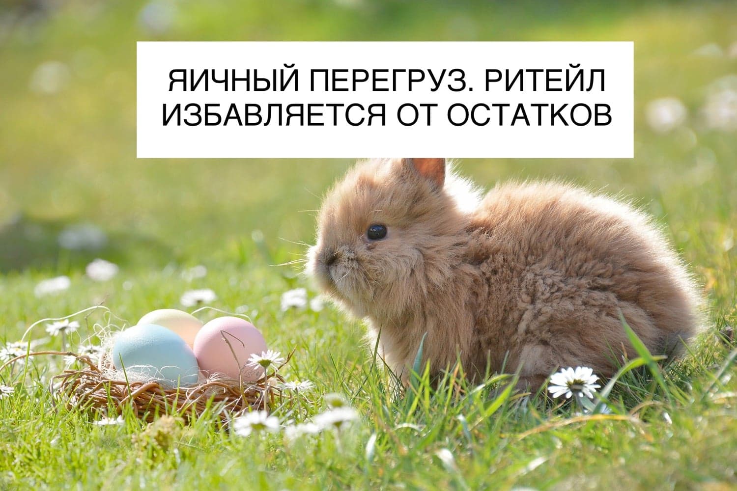 ЯИЧНЫЙ ПЕРЕГРУЗ. РИТЕЙЛ ИЗБАВЛЯЕТСЯ ОТ ОСТАТКОВ