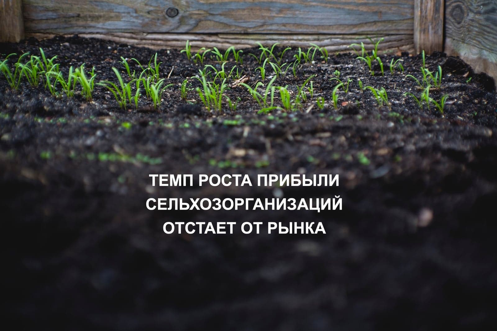 ТЕМП РОСТА ПРИБЫЛИ СЕЛЬХОЗОРГАНИЗАЦИЙ ОТСТАЕТ ОТ РЫНКА
