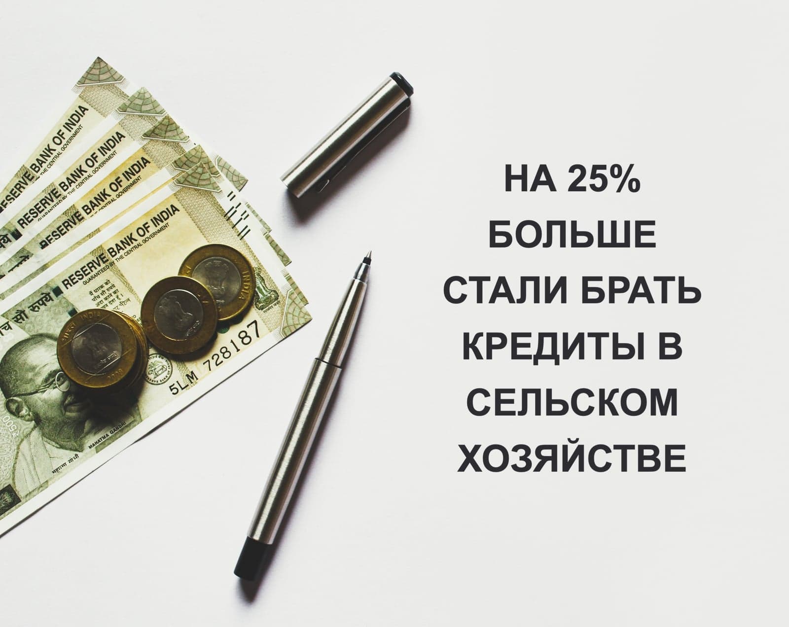 НА 25% БОЛЬШЕ СТАЛИ БРАТЬ КРЕДИТЫ В СЕЛЬСКОМ ХОЗЯЙСТВЕ
