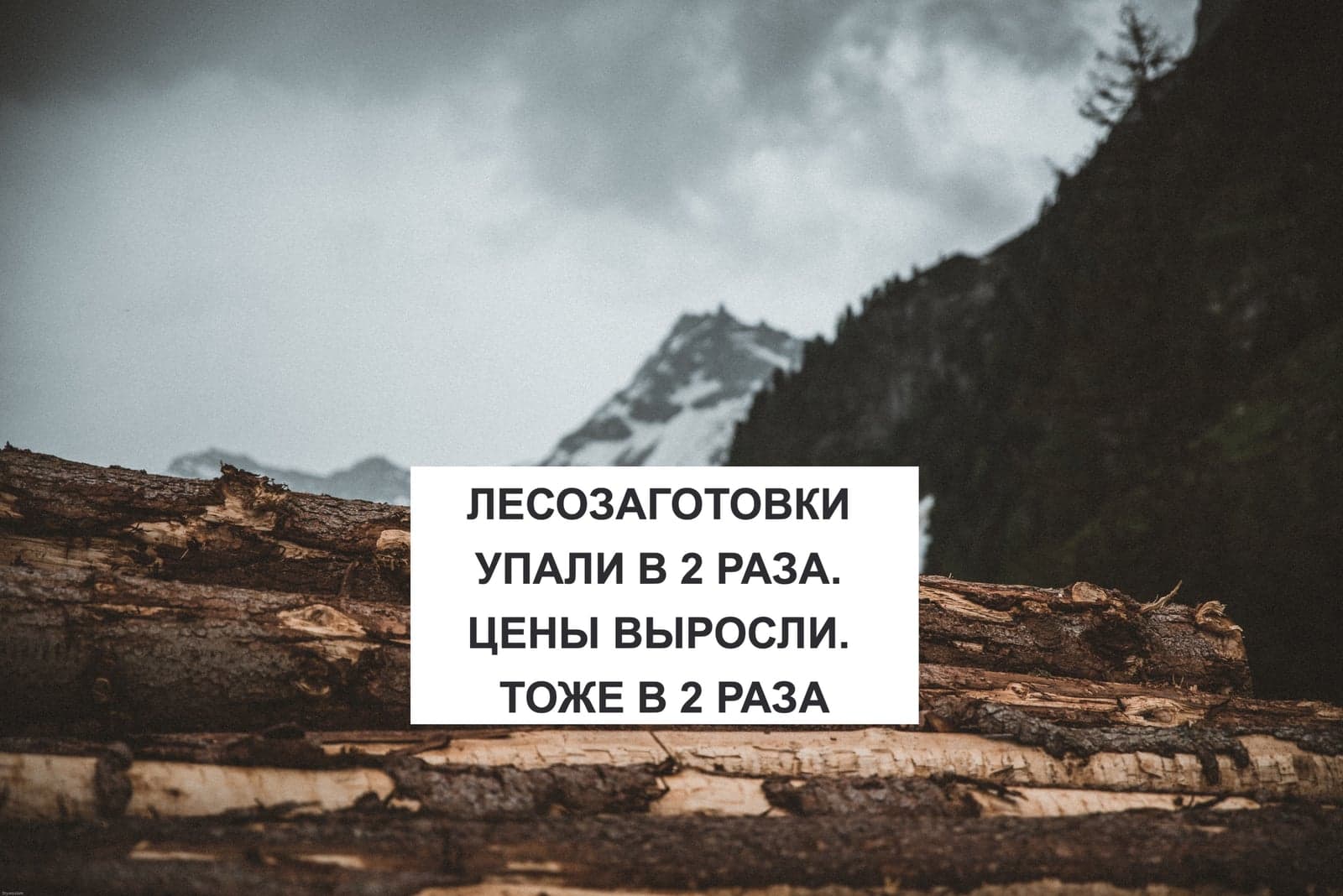 ЛЕСОЗАГОТОВКИ УПАЛИ В 2 РАЗА, А ЦЕНЫ ВЫРОСЛИ. ТОЖЕ В 2 РАЗА
