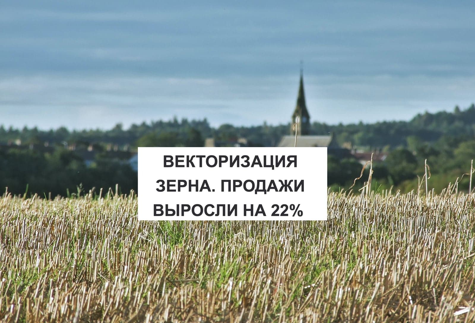 ВЕКТОРИЗАЦИЯ ЗЕРНА. ПРОДАЖИ ВЫРОСЛИ НА 22%