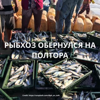 РЫБХОЗ ОБЕРНУЛСЯ НА ПОЛТОРА