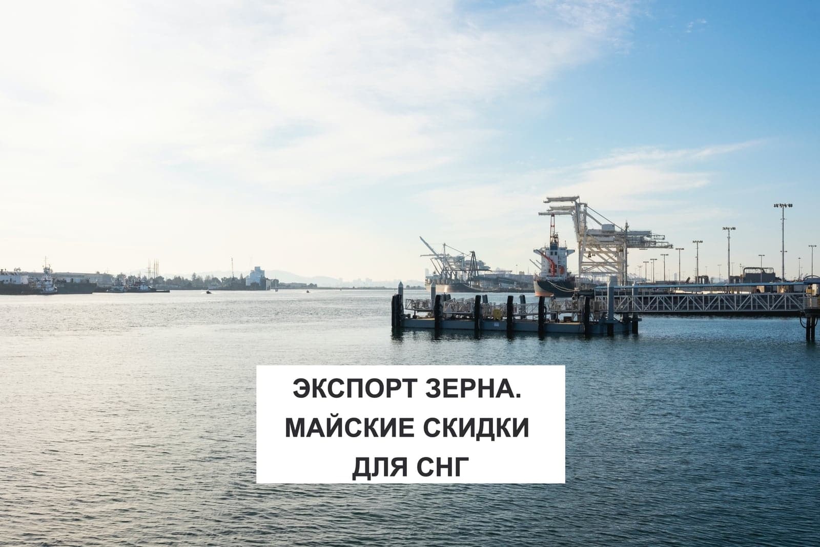 ЭКСПОРТ ЗЕРНА. МАЙСКИЕ СКИДКИ ДЛЯ СНГ
