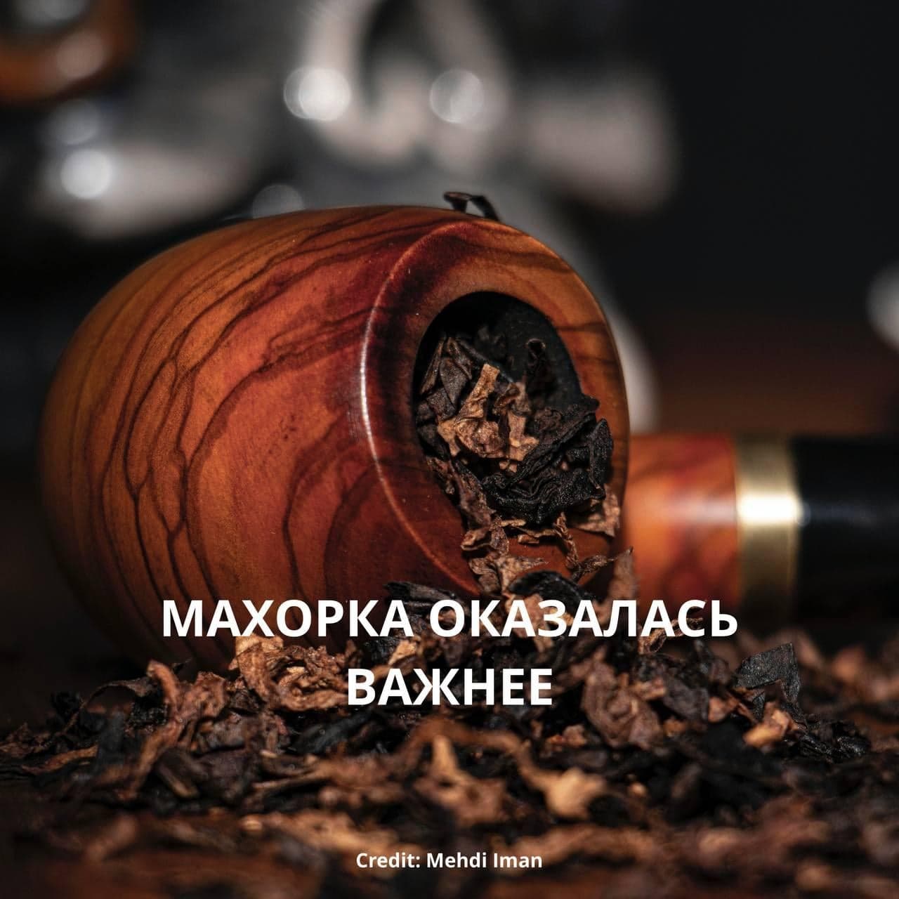 МАХОРКА ОКАЗАЛАСЬ ВАЖНЕЕ