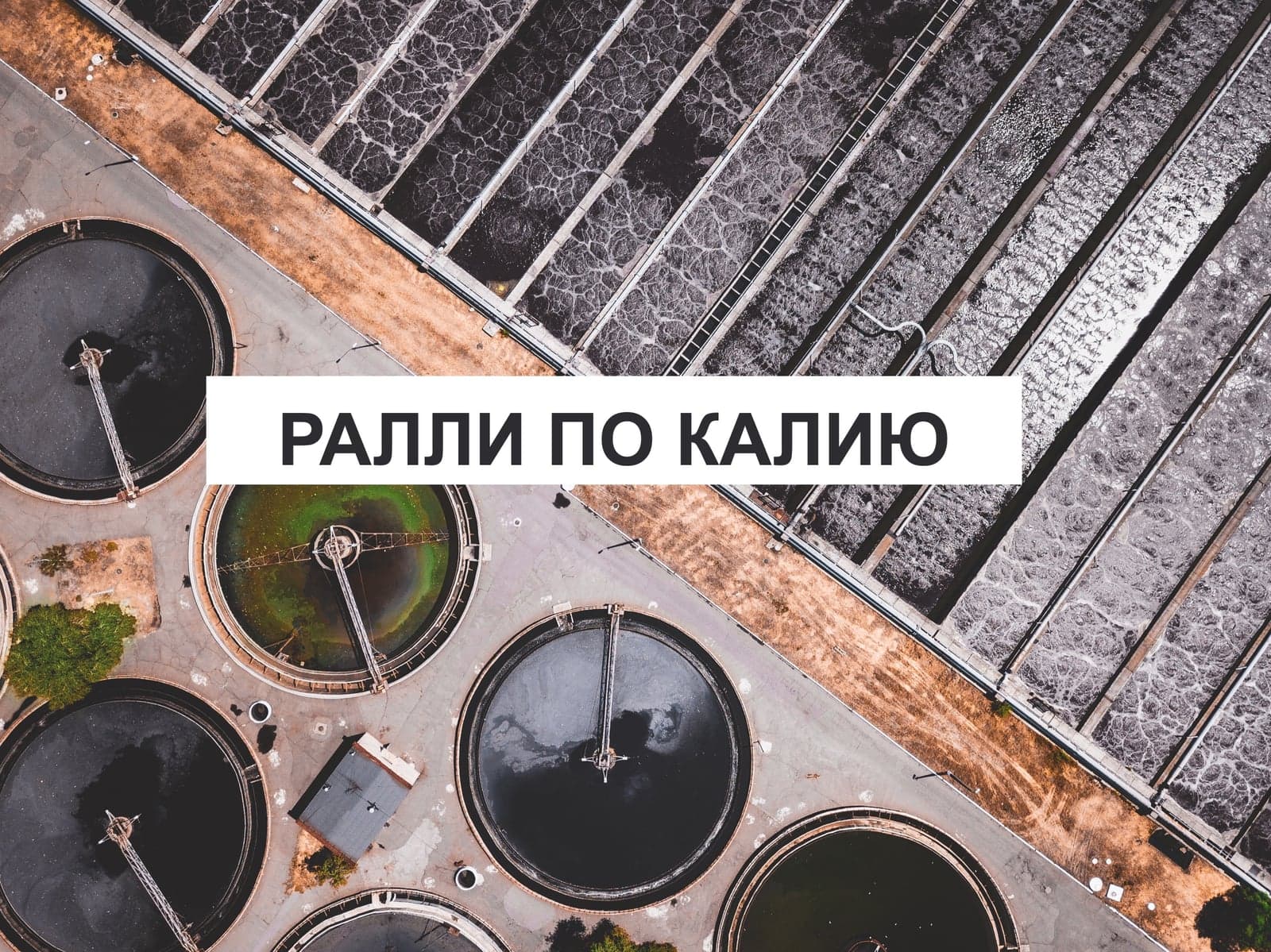 РАЛЛИ ПО КАЛИЮ
