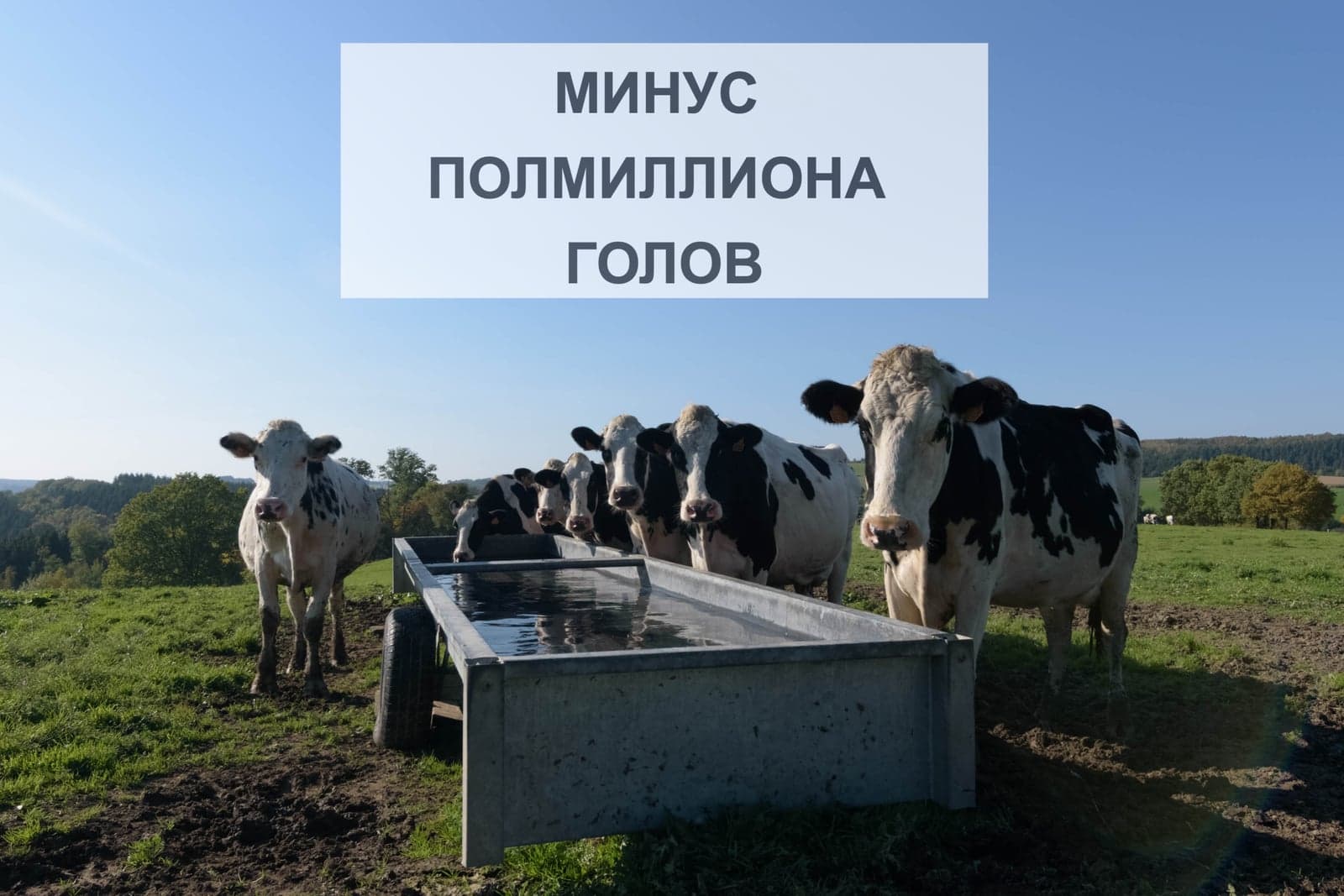 МИНУС ПОЛМИЛЛИОНА ГОЛОВ