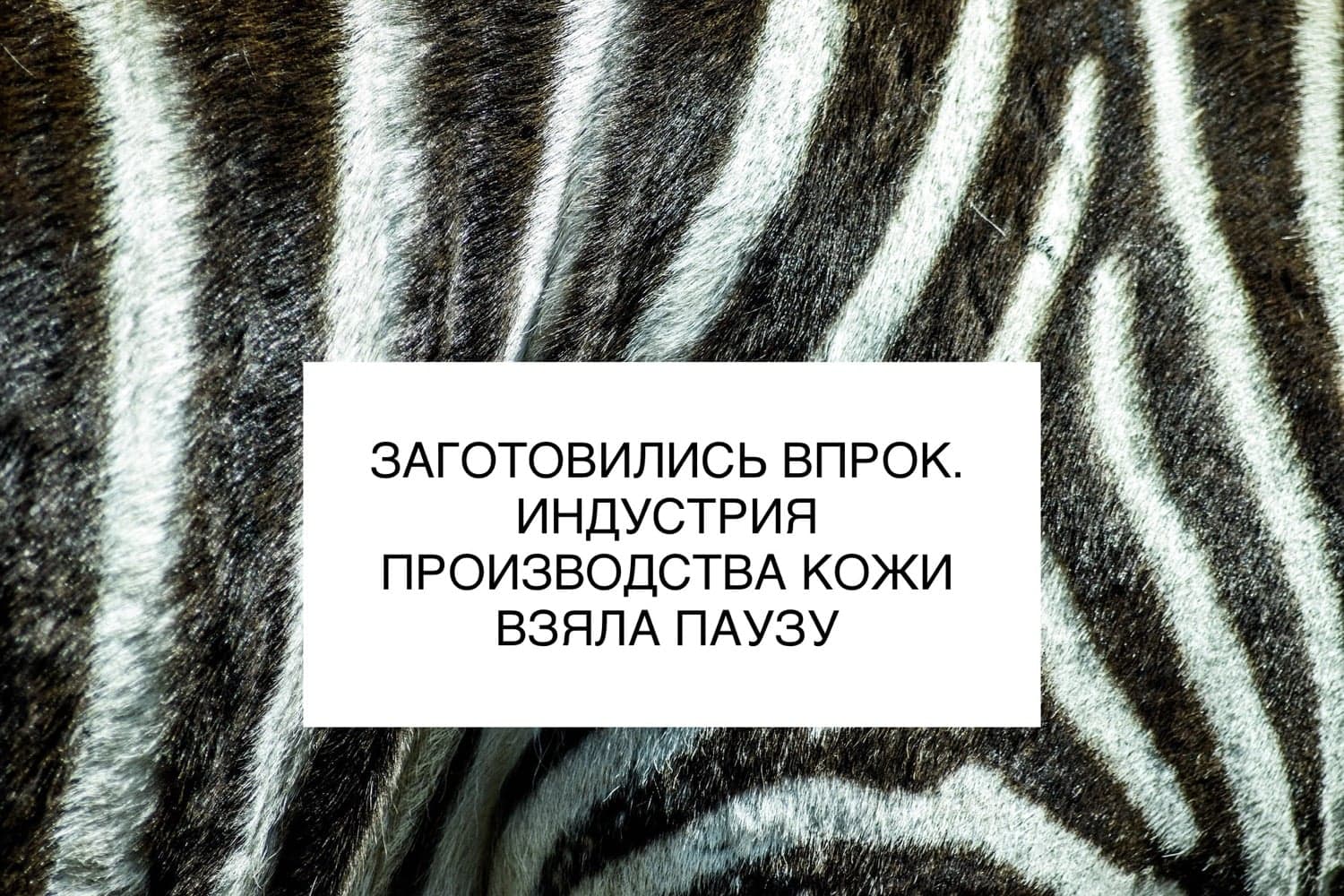 ЗАГОТОВИЛИСЬ ВПРОК. ИНДУСТРИЯ ПРОИЗВОДСТВА КОЖИ ВЗЯЛА ПАУЗУ