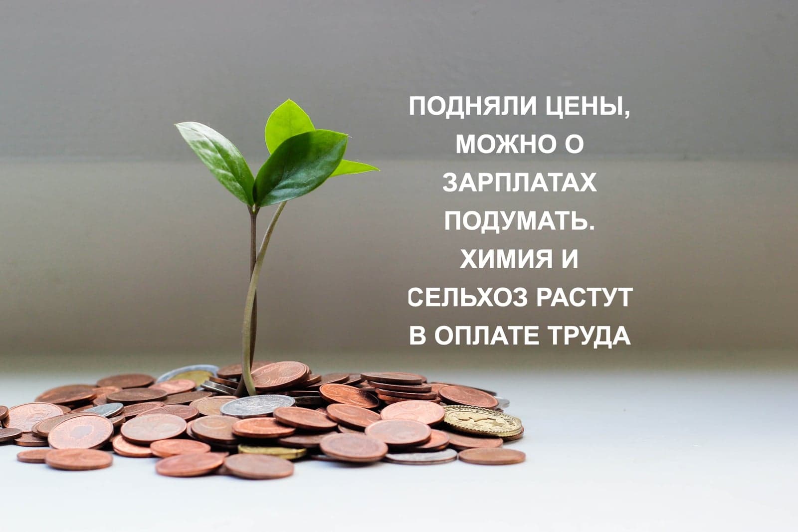 ПОДНЯЛИ ЦЕНЫ, МОЖНО О ЗАРПЛАТАХ ПОДУМАТЬ. ХИМИЯ И СЕЛЬХОЗ РАСТУТ В ОПЛАТЕ ТРУДА