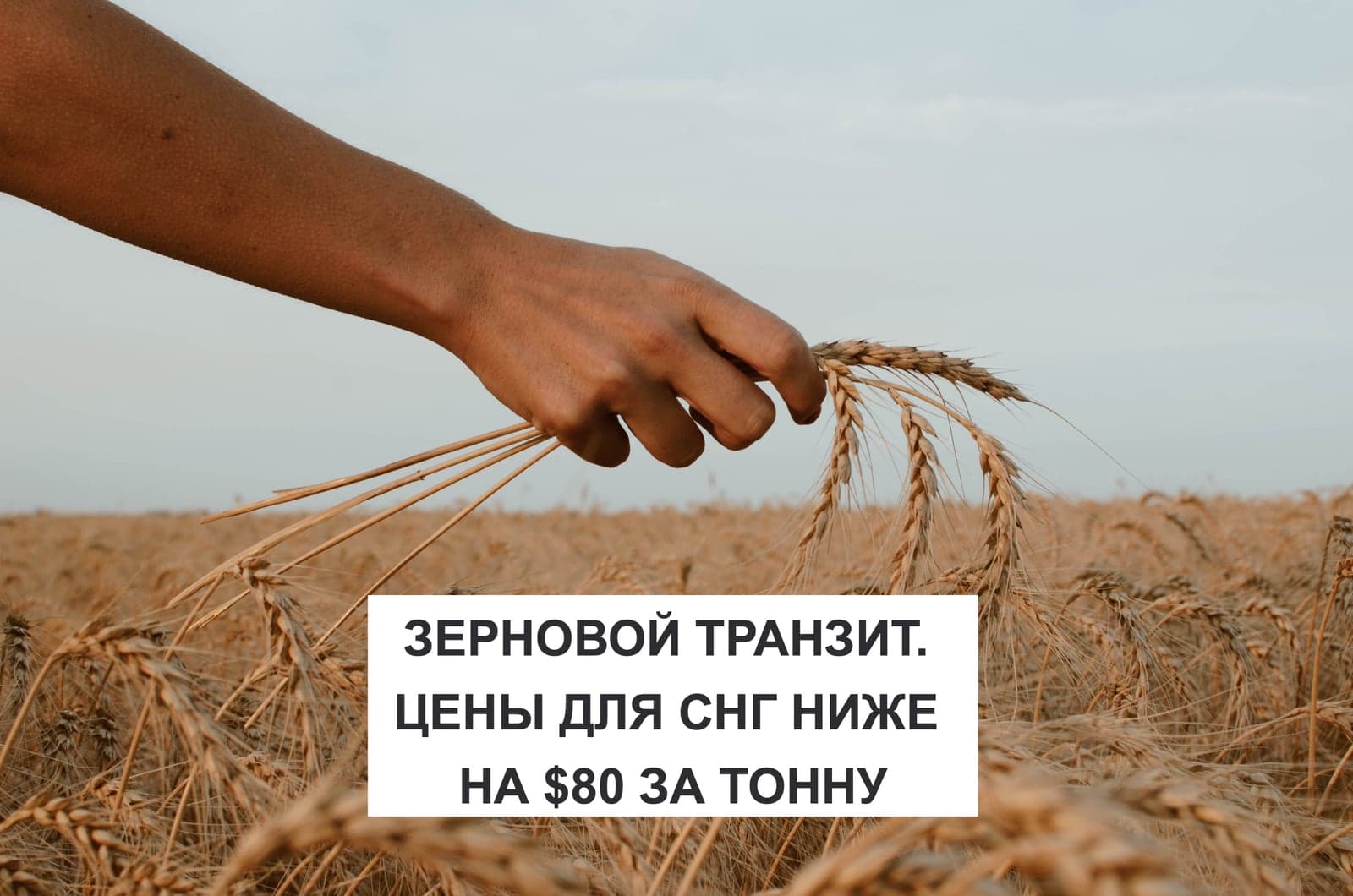 ЗЕРНОВОЙ ТРАНЗИТ. ЦЕНЫ ДЛЯ СНГ НИЖЕ НА $80 ЗА ТОННУ