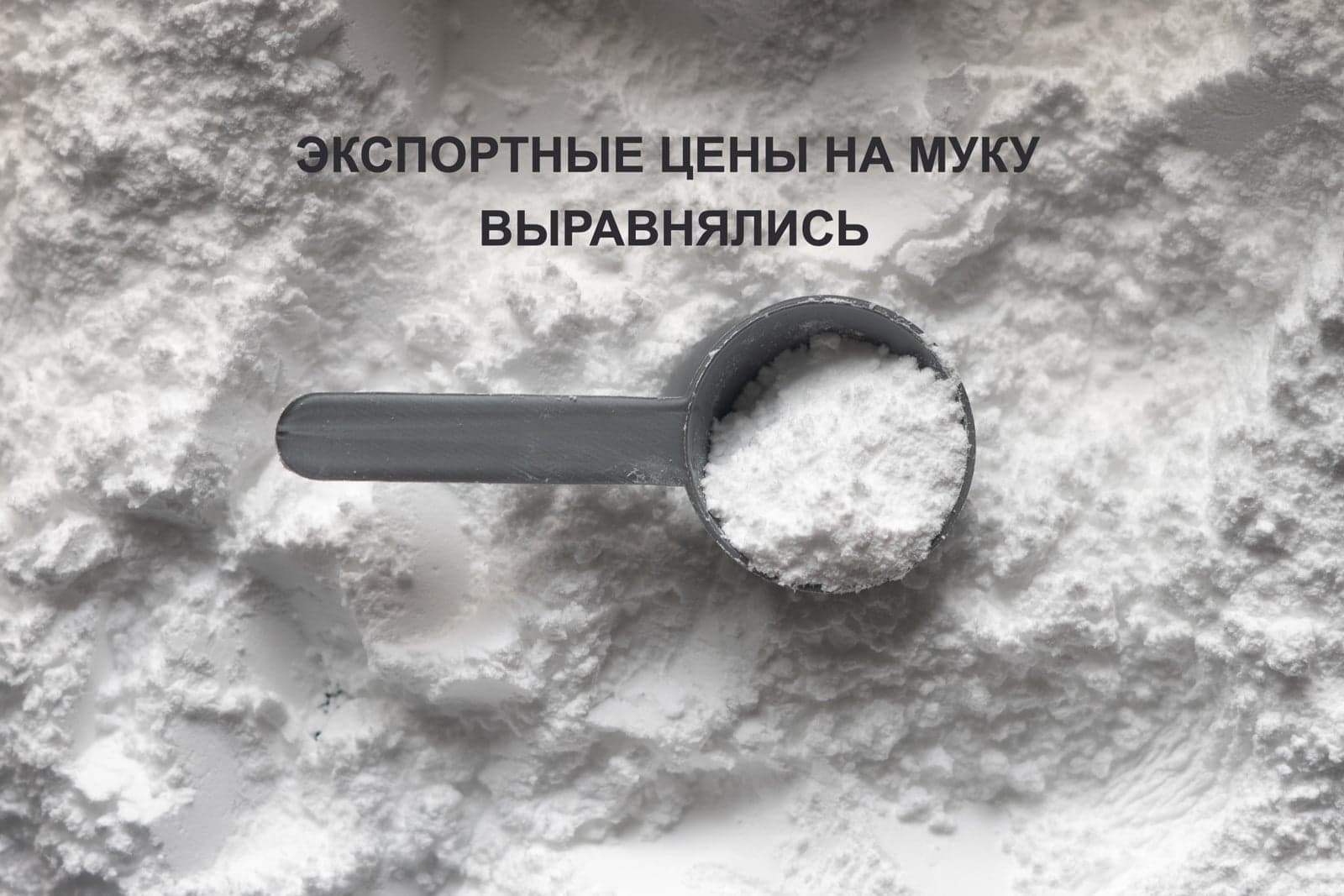 ЭКСПОРТНЫЕ ЦЕНЫ НА МУКУ ВЫРАВНЯЛИСЬ
