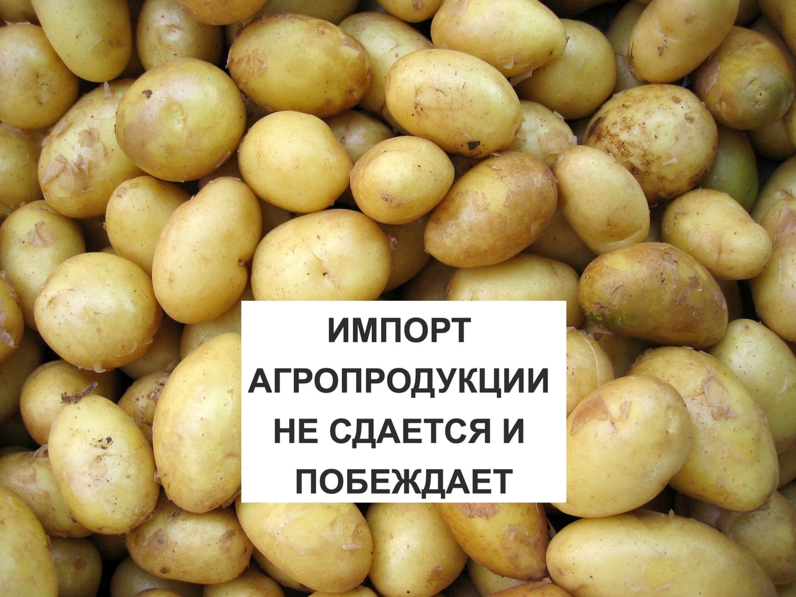 ИМПОРТ АГРОПРОДУКЦИИ НЕ СДАЕТСЯ И ПОБЕЖДАЕТ