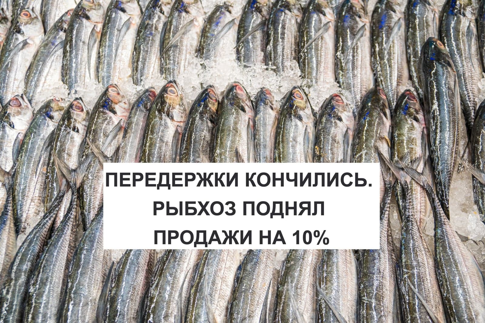 ПЕРЕДЕРЖКИ КОНЧИЛИСЬ. РЫБХОЗ ПОДНЯЛ ПРОДАЖИ НА 10%