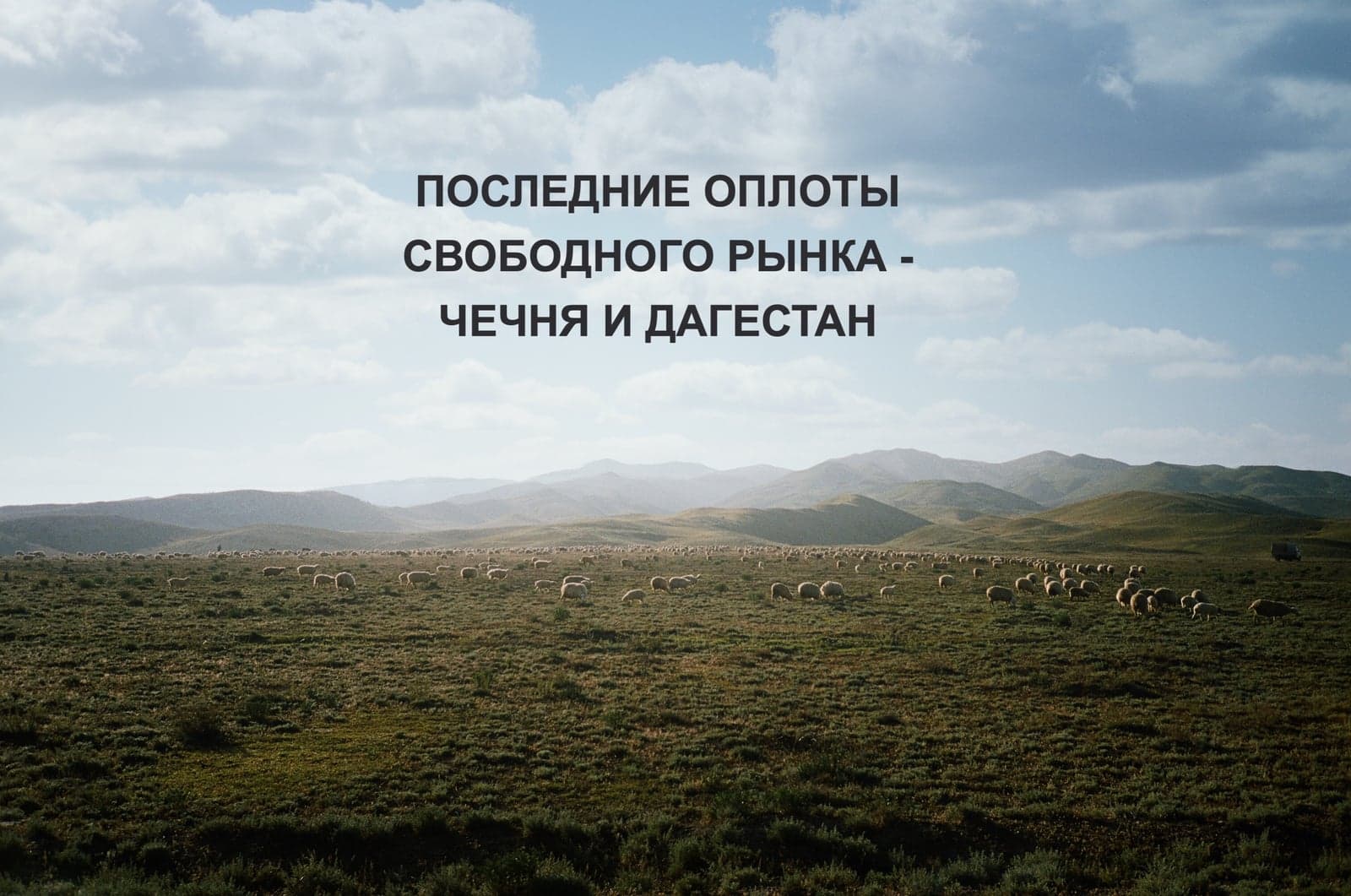 ПОСЛЕДНИЕ ОПЛОТЫ СВОБОДНОГО РЫНКА - ЧЕЧНЯ И ДАГЕСТАН