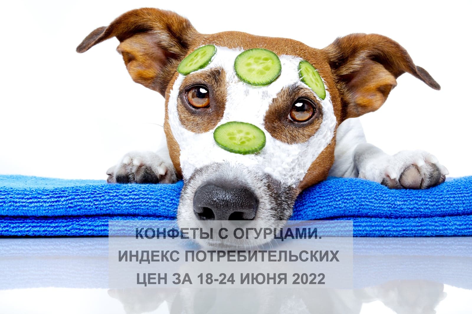 КОНФЕТЫ С ОГУРЦАМИ. ИНДЕКС ПОТРЕБИТЕЛЬСКИХ ЦЕН ЗА 18-24 ИЮНЯ 2022