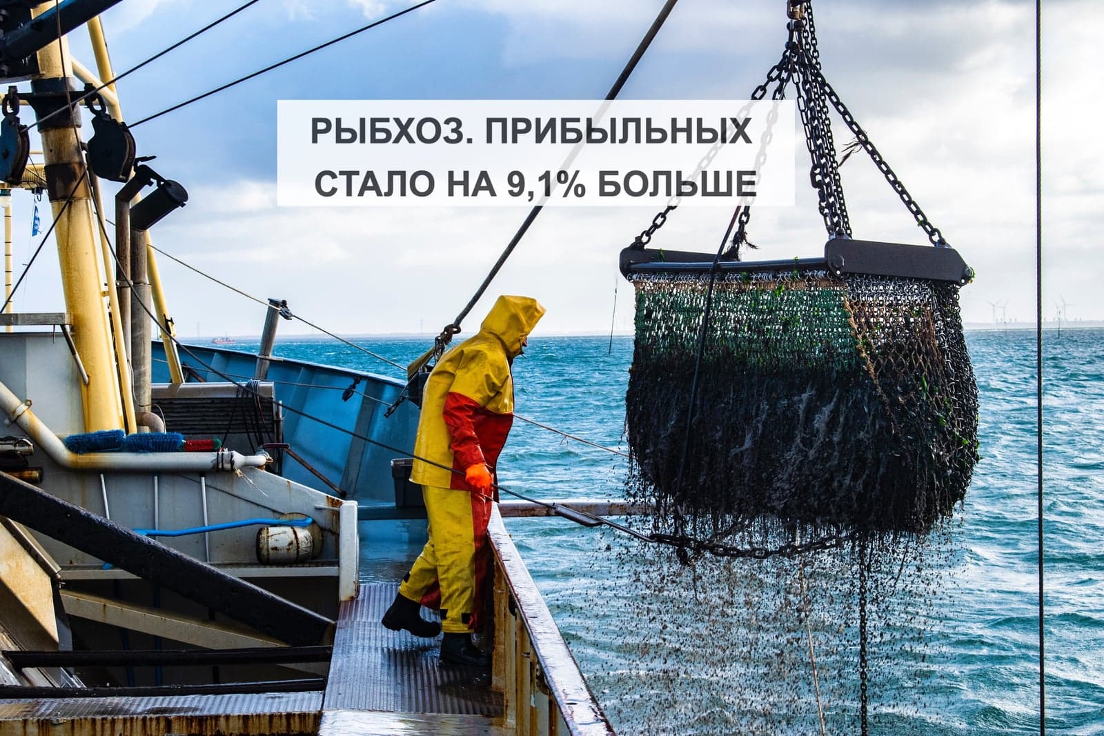 РЫБХОЗ. ПРИБЫЛЬНЫХ СТАЛО НА 9,1% БОЛЬШЕ