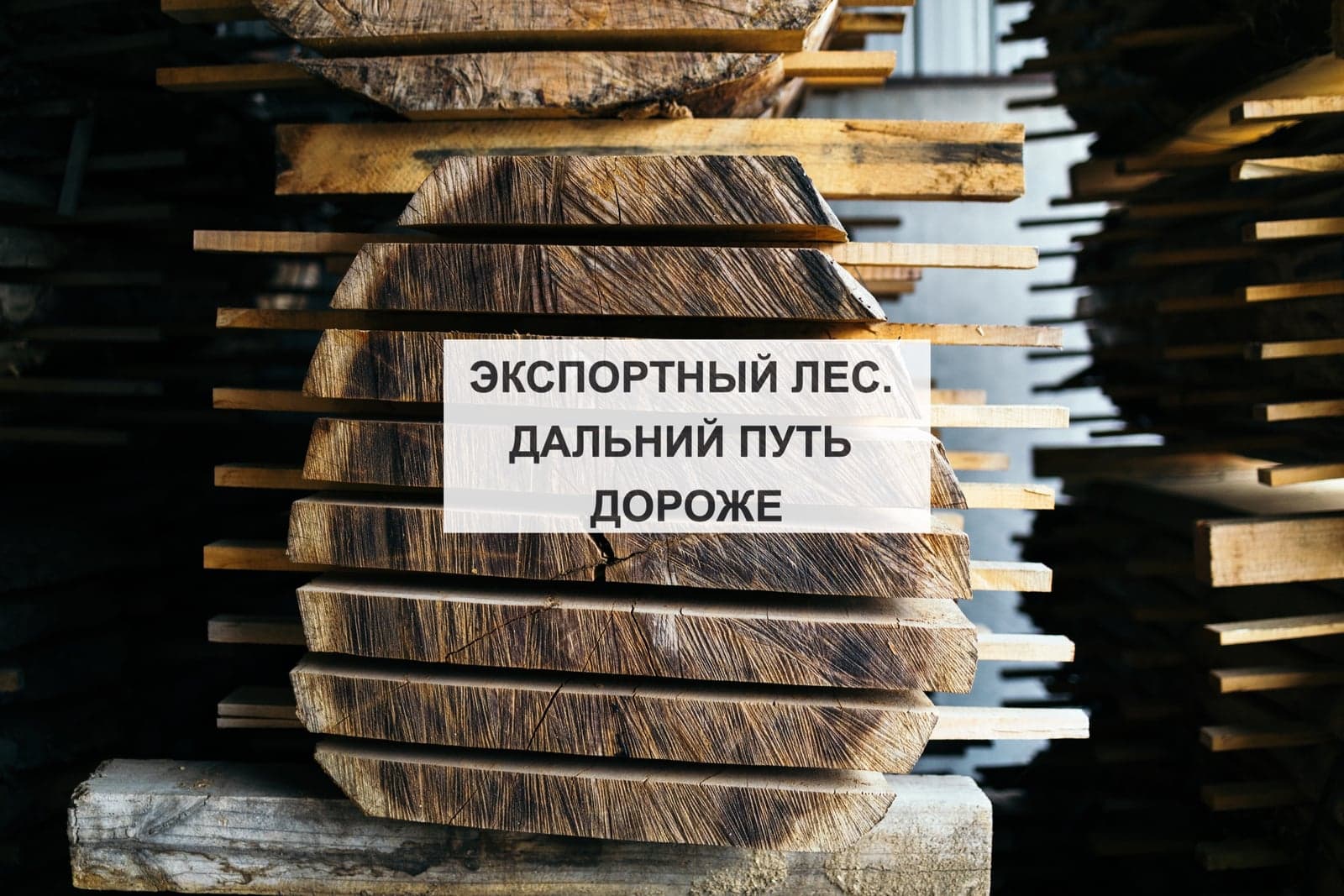 ЭКСПОРТНЫЙ ЛЕС. ДАЛЬНИЙ ПУТЬ ДОРОЖЕ