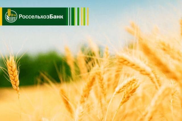Совещание с представителями АО «Россельхозбанк» в Аналитическом центре Минсельхоза России.